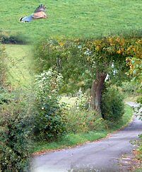 Well House Lane
