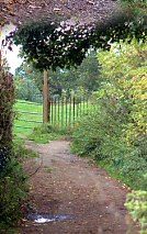 On the path from Dod Lane
