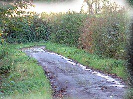 Edgarley Lane