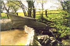 WaterDragon1