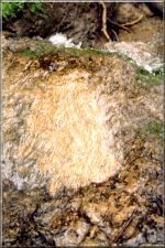 Waterfall12