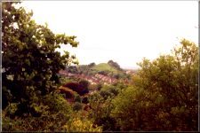 Wearyall02