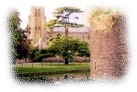 Wells Cathedral from Bishop
